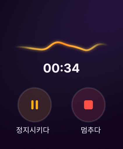 Voice Memory Apple Watch 녹음 화면